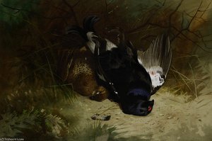 Still Life Of A Pair Of Blackgame — Archibald Thorburn
