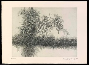 Catalpa Ii, From The Portfolio A Genesis — Gabor Peterdi