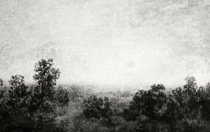 Harvest Moon, (painting) — Ralph Albert Blakelock