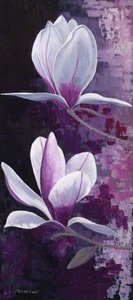 Two Magnolias
