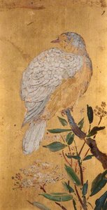 A Pigeon (recto) — Beatrix Whistler