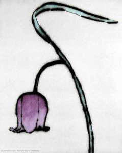 Fritillaria — Richard John Spare