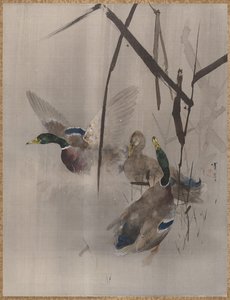 Ducks In The Rushes — Watanabe Seitei