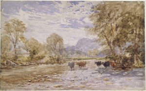 Stepping Stones, Bettwys-y-coed — David Cox