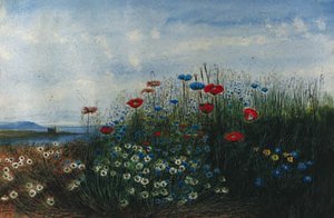 A Coastal Landscape With Poppies, Cornflowers, Daisies And Grasses In The Foreground