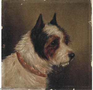 The Head Of A Terrier — George Armfield (smith)