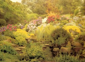 A Watergarden — George Marks