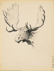 Moose Head — Frederic Remington