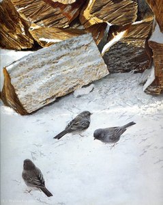 Untitled (442) — Robert Bateman