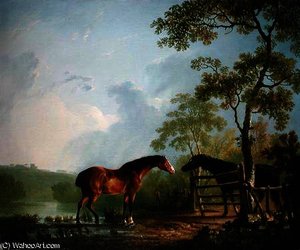 Mare and Stallion in a Landscape