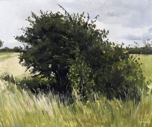 The Spinney