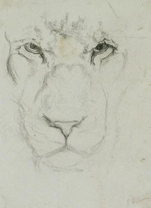 Face Of A Lion — John Frederick Lewis