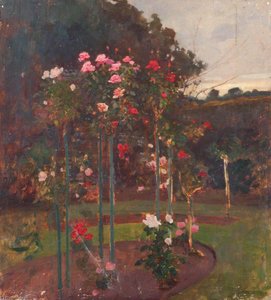 Standard Roses In A Garden — Benjamin Haughton