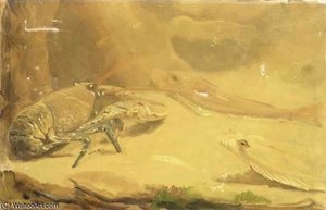 A Lobster And Fish — Gerrit Willem Dijsselhof