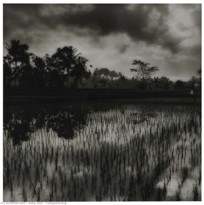 Tampaksiring — Sally Gall