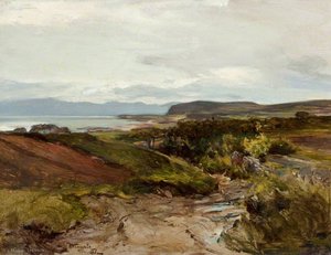 Coastal scene