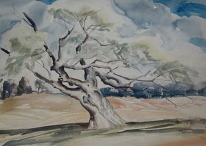 An Apple Tree Broadview Woodstock — Alfred Heber Hutty