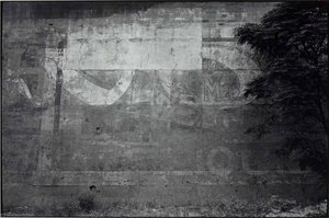 Untitled (wall) — Paul Hester