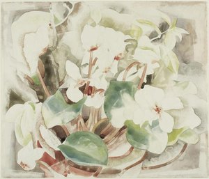 Flowers (cyclamen) — Charles Demuth