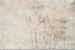Sala Delle Asse, Detail Of Preparatory Drawing Of Branches And Leaves — Leonardo Di Ser Piero Da Vinci & Andrea Del Verrocchio