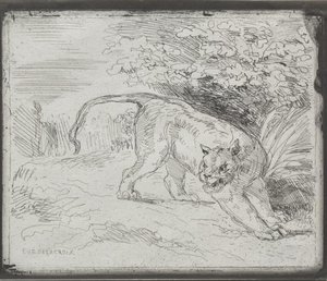 A Trapped Tiger — Eugène Delacroix, Romanticism