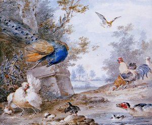 Bird piece Sun