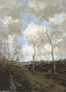 Heideweg In Drenthe - Birches Along A Country Path
