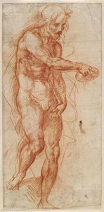 Study For St John The Baptist — Andrea Del Sarto, High Renaissance