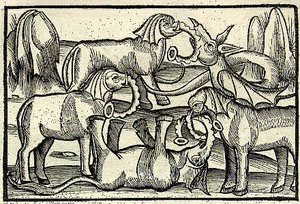 The Inconvenient Petitioners — Martin Schongauer