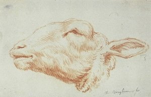 Sheep's Head, Facing Left — Nicolaes Pietersz Berchem