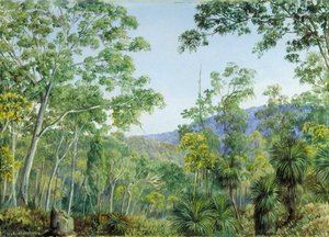 Gum Trees, Grass Trees And Wattles In A Queensland Forest — Marianne North, Pre-raphaelite Romanticism