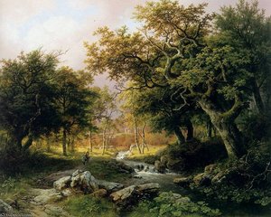 Forest landscape Sun