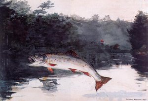 Leaping Trout — Winslow Homer, American Romanticism