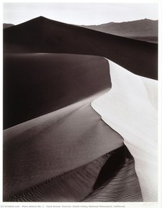 mark adams no. 1