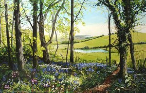 Borthwood Copse — Malindy Argyle