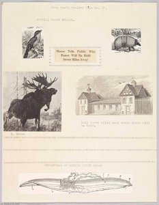 Goop Joe's Poultry Page No. 17. Special Moose Number — Joseph Cornell