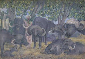 'buffalos Of Bhownuggar. Kattiwah. India. Febr. 1879' — Marianne North