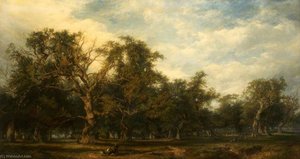 A Forest Glade