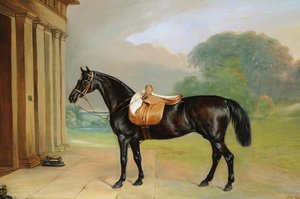 A Bay Hunter Called 'queen Mab' Outside Calke Abbey — Sr John E Ferneley