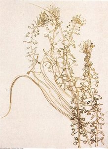 Blossoming Branches — Vincent Willem Van Gogh