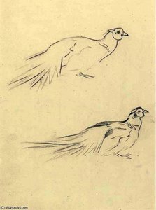 Four Cock Pheasants, A Sketch; And Two Cock Pheasants, A Sketch — Archibald Thorburn