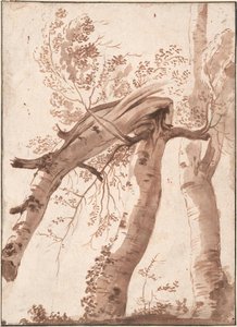 Two Silver Birches, The Front One Fallen, C. 1629 — Nicolas Poussin
