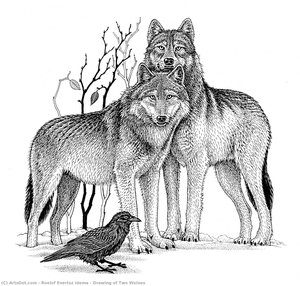 Drawing Of Two Wolves — Roelof Evertsz Idema