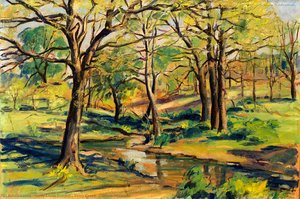 Town Creek, Clinton, Missouri — Harry Louis Freund