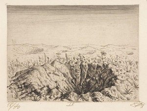 Bomb-crater With Flowers - Spring 1916 — Otto Dix