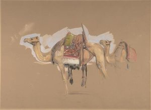Two Camels — John Frederick Lewis