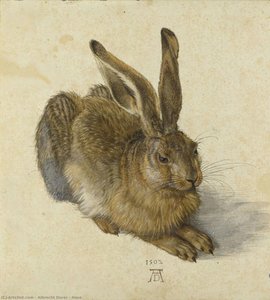 Hase — Albrecht Dürer, Northern Renaissance