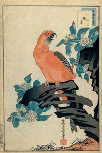 sugakudo nakayama