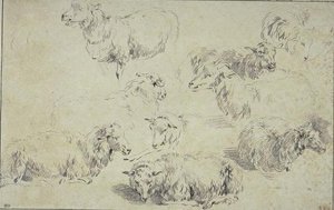 Study Of Nine Sheep 1 — Nicolaes Pietersz Berchem
