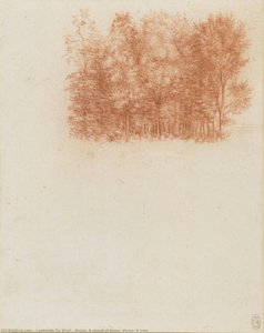 Recto: A Stand Of Trees. Verso: A Tree — Leonardo Da Vinci